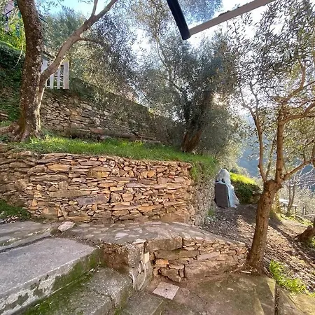 Golfo Paradiso Hébergement de vacances Vescina